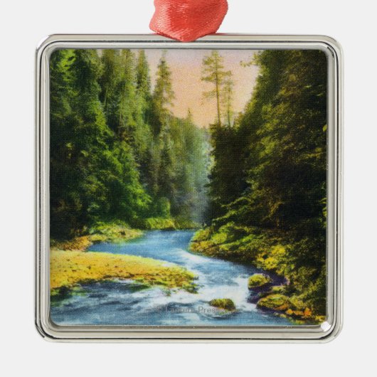 Uitzicht van Capilano Suspension Bridge # 2 Metalen Ornament (Voorkant)