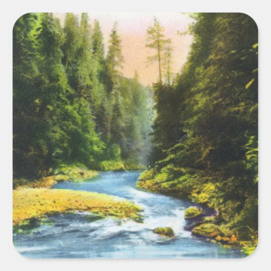 Uitzicht van Capilano Suspension Bridge # 2 Vierkante Sticker (Voorkant)