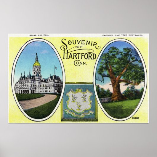 Uitzicht van Capitol Bldg en eikenboom Poster (Voorkant)