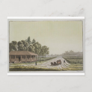 Uitzicht van Capitol Hill, Washington (kleurengrav Briefkaart