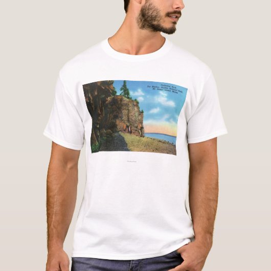 Uitzicht van Cathedraal Rock, Bar Harbour T-shirt (Voorkant)