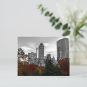 Uitzicht van Central Park in New York City Briefkaart (Staand voorkant)