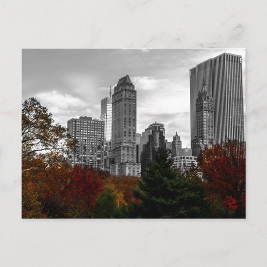 Uitzicht van Central Park in New York City Briefkaart (Voorkant)