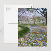 Uitzicht van Cherry-bloesems (& Viola) Briefkaart (Voorkant / Achterkant)