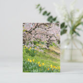 Uitzicht van Cherry-bloesems (& Wild Daffodil) Briefkaart (Staand voorkant)