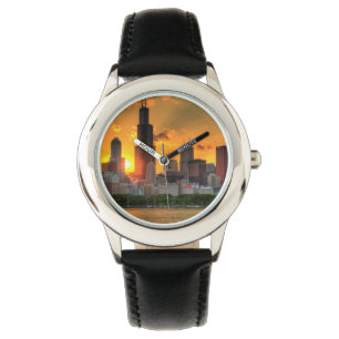 Uitzicht van Chicago's skyline van Adler Horloge