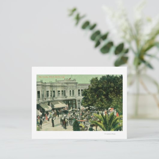 Uitzicht van CirclePalo Alto, CA Briefkaart (Staand voorkant)