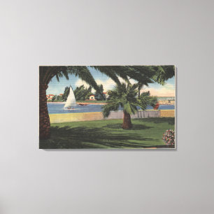 Uitzicht van Collins Island, Zeilboot op water Canvas Afdruk