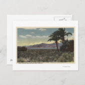Uitzicht van Dates Groei nabij het Zee Salton Briefkaart (Voorkant / Achterkant)