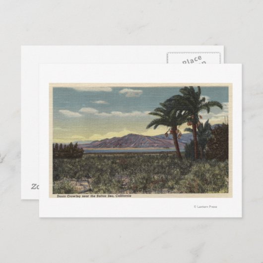 Uitzicht van Dates Groei nabij het Zee Salton Briefkaart (Voorkant / Achterkant)
