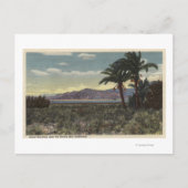 Uitzicht van Dates Groei nabij het Zee Salton Briefkaart (Voorkant)