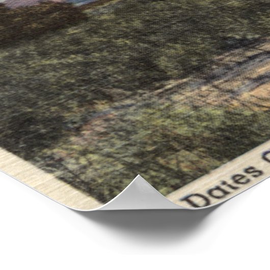 Uitzicht van Dates Groei nabij het Zee Salton Poster (Hoek)