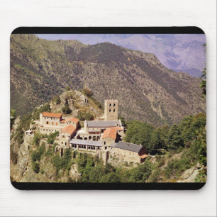 Uitzicht van de Abbey of St. Martin du Canigou Muismat