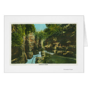 Uitzicht van de Abruikbare kudde