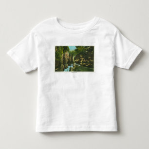 Uitzicht van de Abruikbare kudde Kinder Shirts