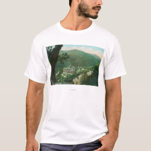 Uitzicht van de antenne van Witter Springs Hotel E T-shirt
