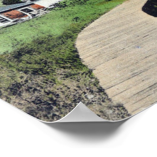 Uitzicht van de Arks-Larkspur, CA Poster (Hoek)