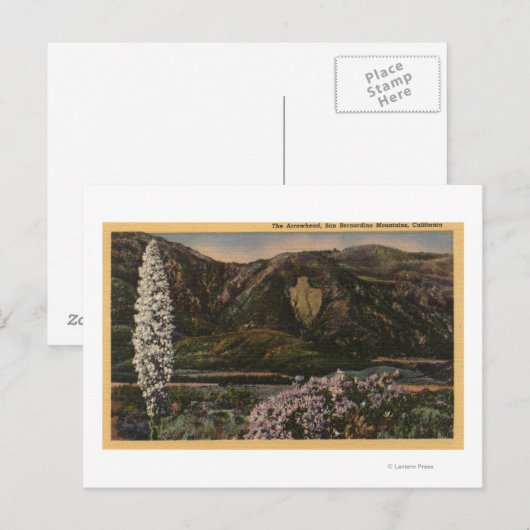 Uitzicht van de Arrowiad - San Bernardino Mts., CA Briefkaart (Voorkant / Achterkant)