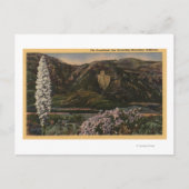 Uitzicht van de Arrowiad - San Bernardino Mts., CA Briefkaart (Voorkant)
