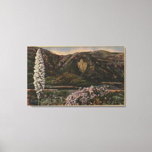 Uitzicht van de Arrowiad - San Bernardino Mts., CA Canvas Afdruk (Voorkant)