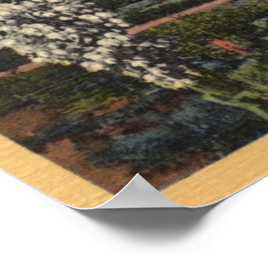 Uitzicht van de Arrowiad - San Bernardino Mts., CA Poster (Hoek)