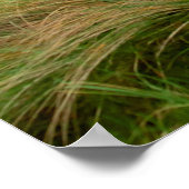 uitzicht van de Ballybunion verbindt golfbaan Poster (Hoek)