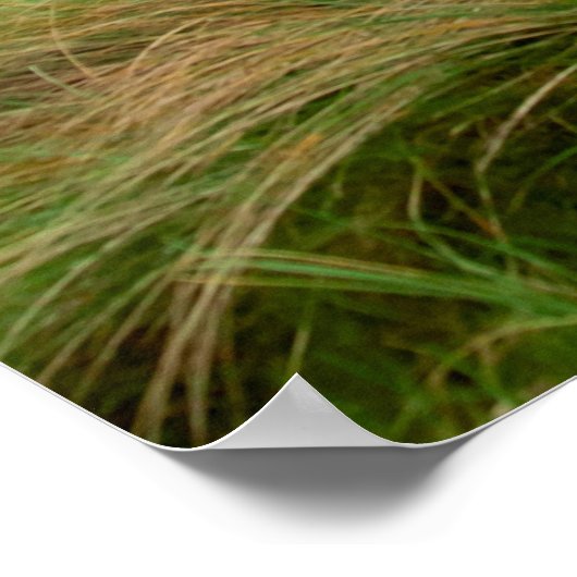 uitzicht van de Ballybunion verbindt golfbaan Poster (Hoek)