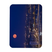 Uitzicht van de Basis van de Visserij naast Matyas Magneet (Verticaal)