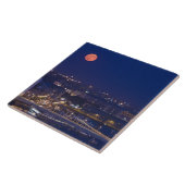 Uitzicht van de Basis van de Visserij naast Matyas Tegeltje (Zijkant)