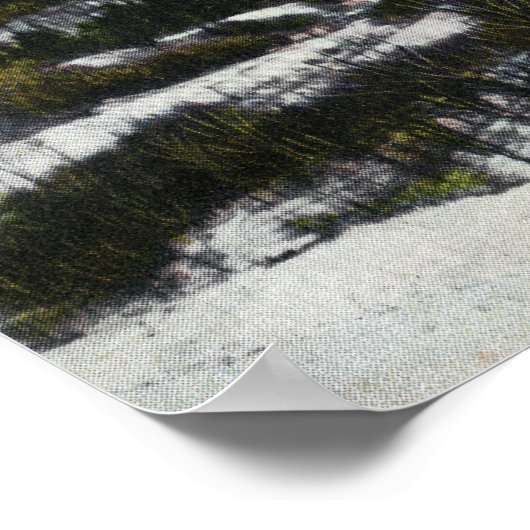 Uitzicht van de berg Saddleback in de winter Poster (Hoek)