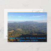 Uitzicht van de bergzomer van beuk briefkaart (Voorkant / Achterkant)