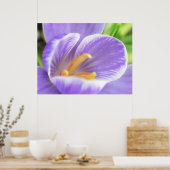 Uitzicht van de bijenoog - Crocus Poster (Keuken)