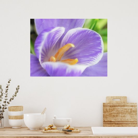 Uitzicht van de bijenoog - Crocus Poster (Keuken)