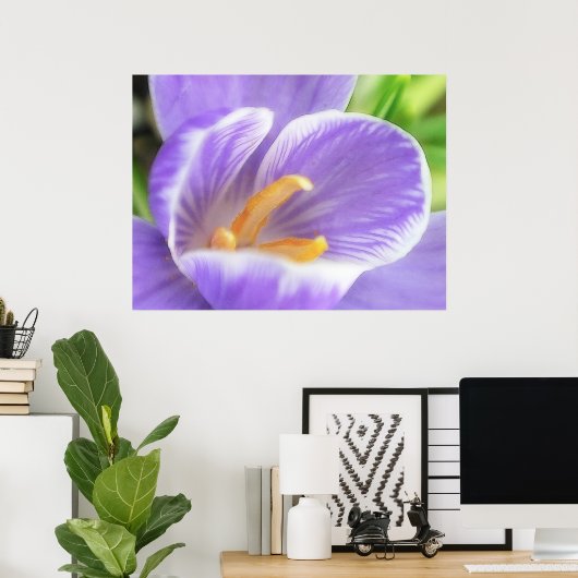 Uitzicht van de bijenoog - Crocus Poster (Thuiskantoor)