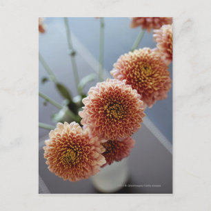 Uitzicht van de bloemen in een vaas met hoge hoek briefkaart
