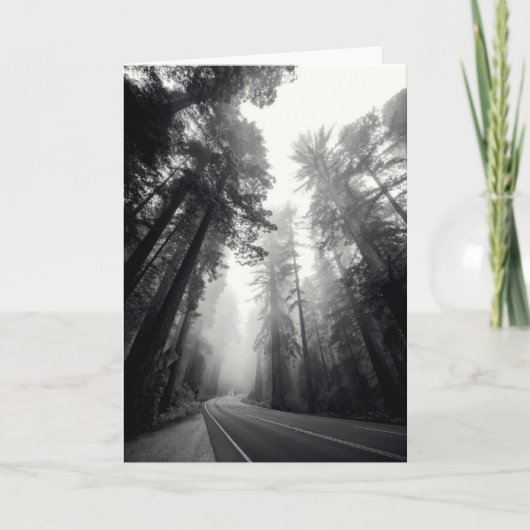 Uitzicht van de Bomen van de Sequoia in Bos Kaart (Voorkant)