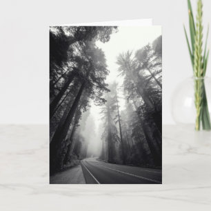 Uitzicht van de Bomen van de Sequoia in Bos Kaart