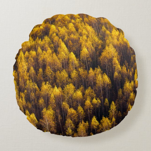 UITZICHT VAN DE BOSSEN ROND KUSSEN (Voorkant)