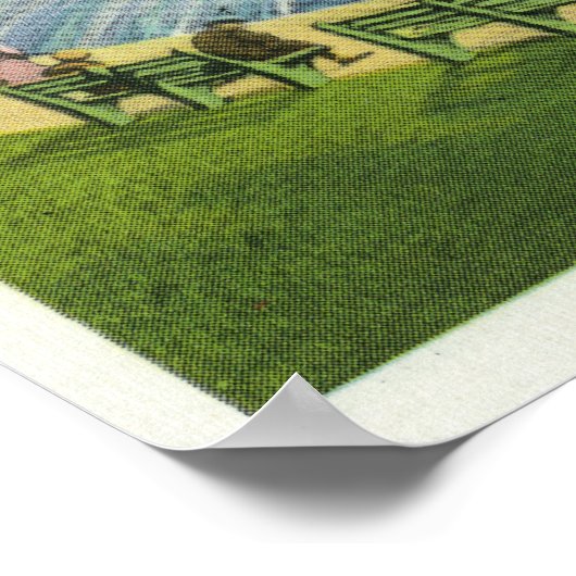 Uitzicht van de Boston Common Frog Pond Poster (Hoek)