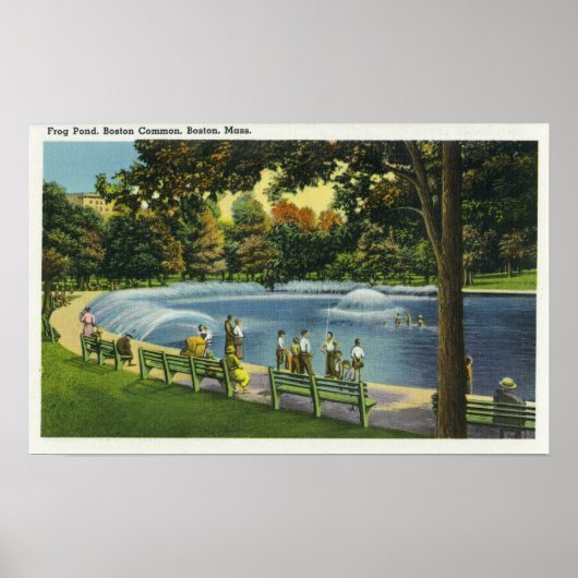 Uitzicht van de Boston Common Frog Pond Poster (Voorkant)