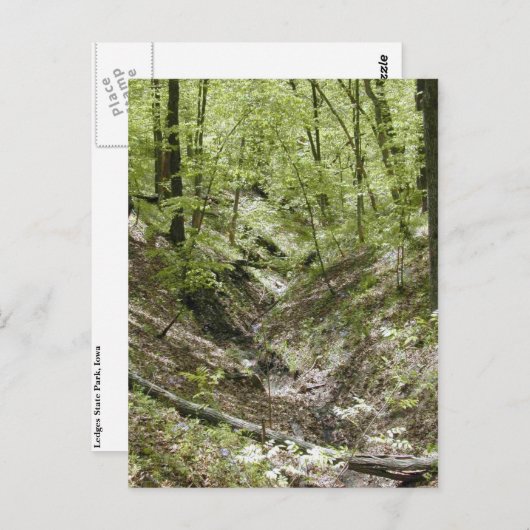 Uitzicht van de briefkaarten van de brug van Ledge (Voorkant / Achterkant)