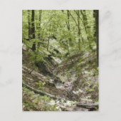 Uitzicht van de briefkaarten van de brug van Ledge (Voorkant)