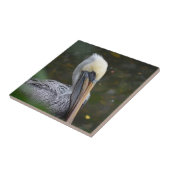 uitzicht van de bruine pelikaanse kop naar rechts  tegeltje (Zijkant)