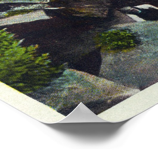 Uitzicht van de "Cave of Lost Souls Entrance" Poster (Hoek)