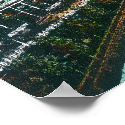 Uitzicht van de Chutes Poster (Hoek)