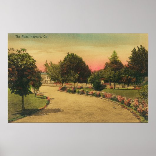 Uitzicht van de City Plaza Hayward, CA Poster (Voorkant)