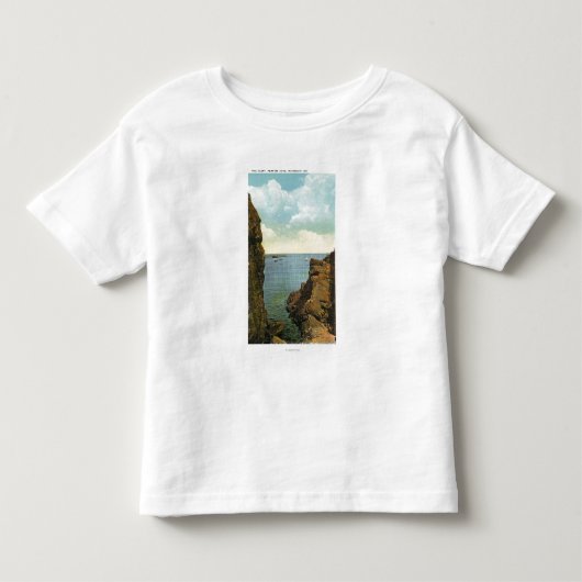 Uitzicht van de Cleft bij Perkins Cove Kinder Shirts (Voorkant)