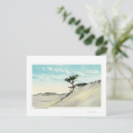 Uitzicht van de Dorothy Bradford Steamer Briefkaart (Staand voorkant)