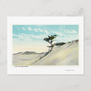 Uitzicht van de Dorothy Bradford Steamer Briefkaart