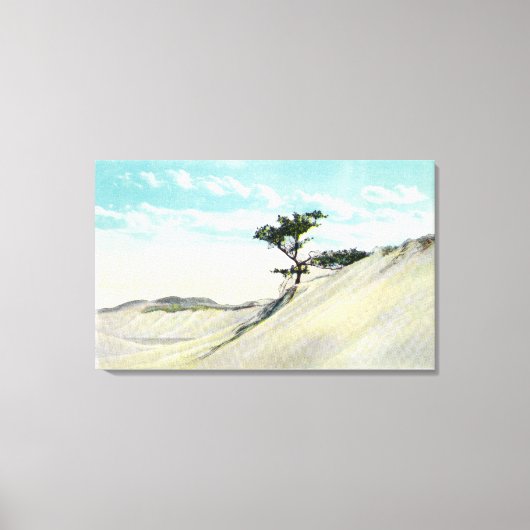 Uitzicht van de Dorothy Bradford Steamer Canvas Afdruk (Voorkant)